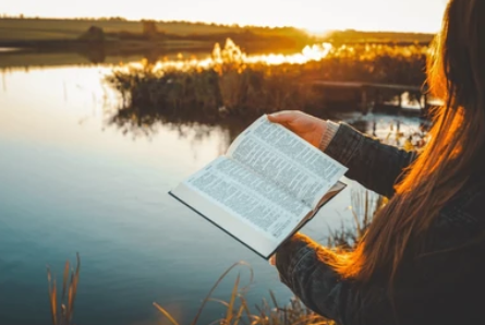 Why No-App Bible Tools Are Rising in Popularity