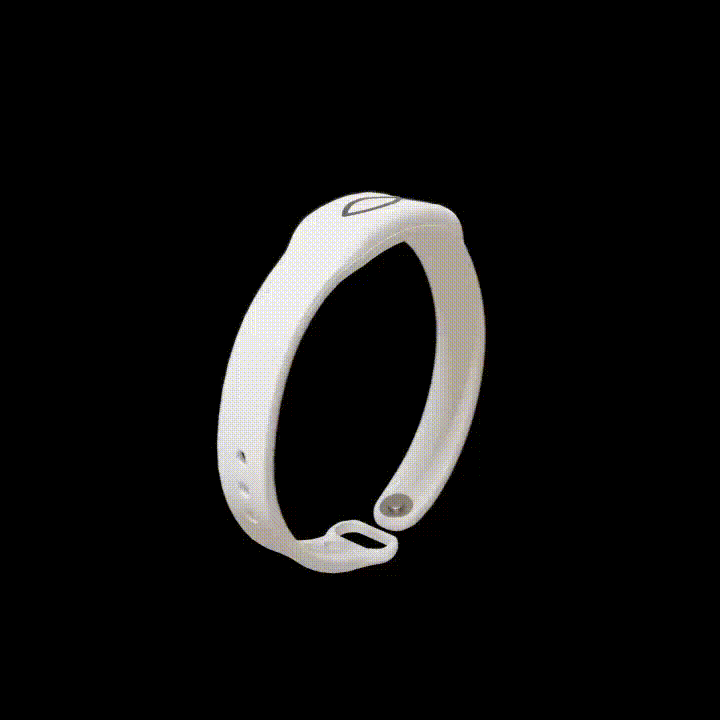 Daily Bible Verse Bracelet